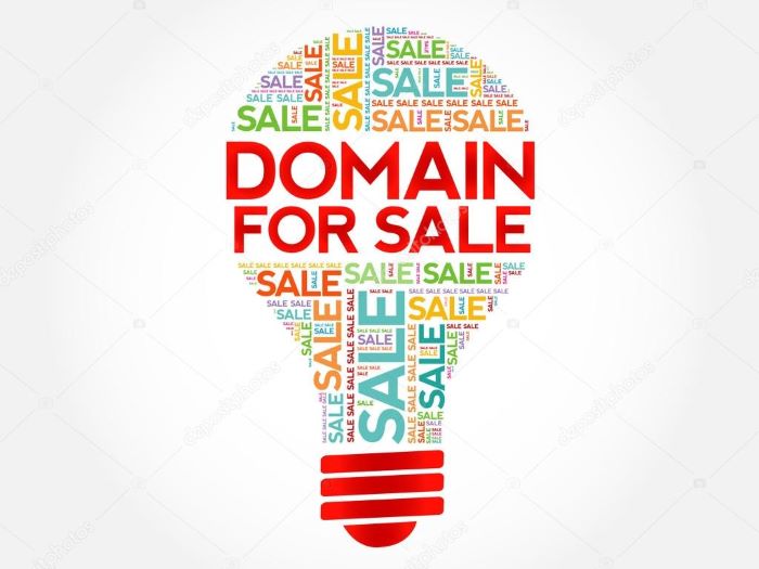 See my list of domains for sale or contact me to advise and assist in obtaining the most apt and SEO friendly and marketable domain name for your project.