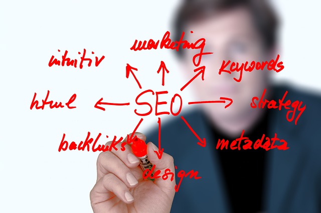 search engine optimization plan